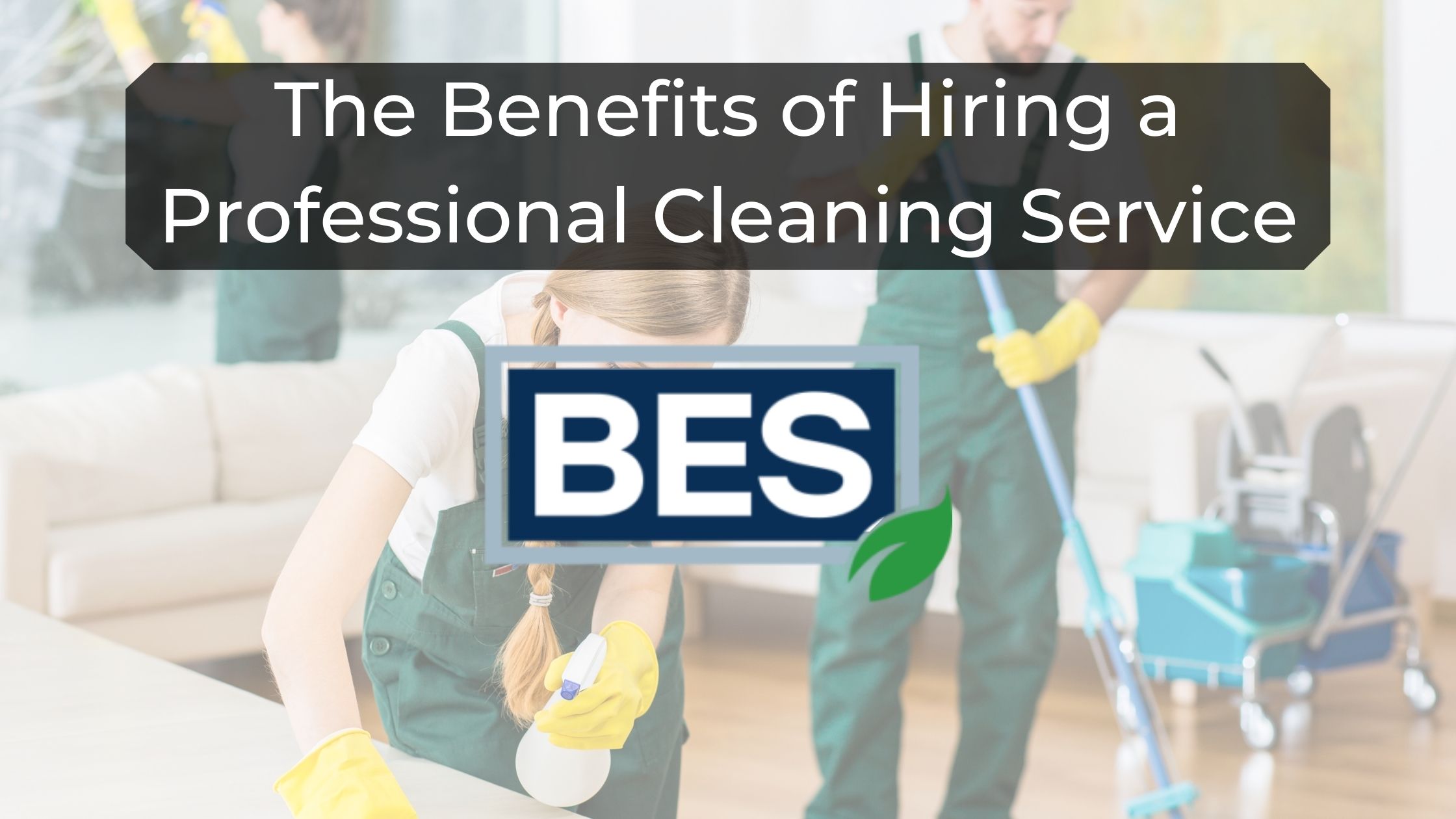 Cleaning Services In Spring Hill Fl
